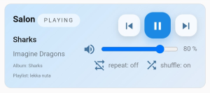 Media Player template